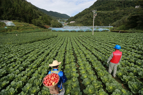 为高质量打赢打好脱贫攻坚战作出国网贡献